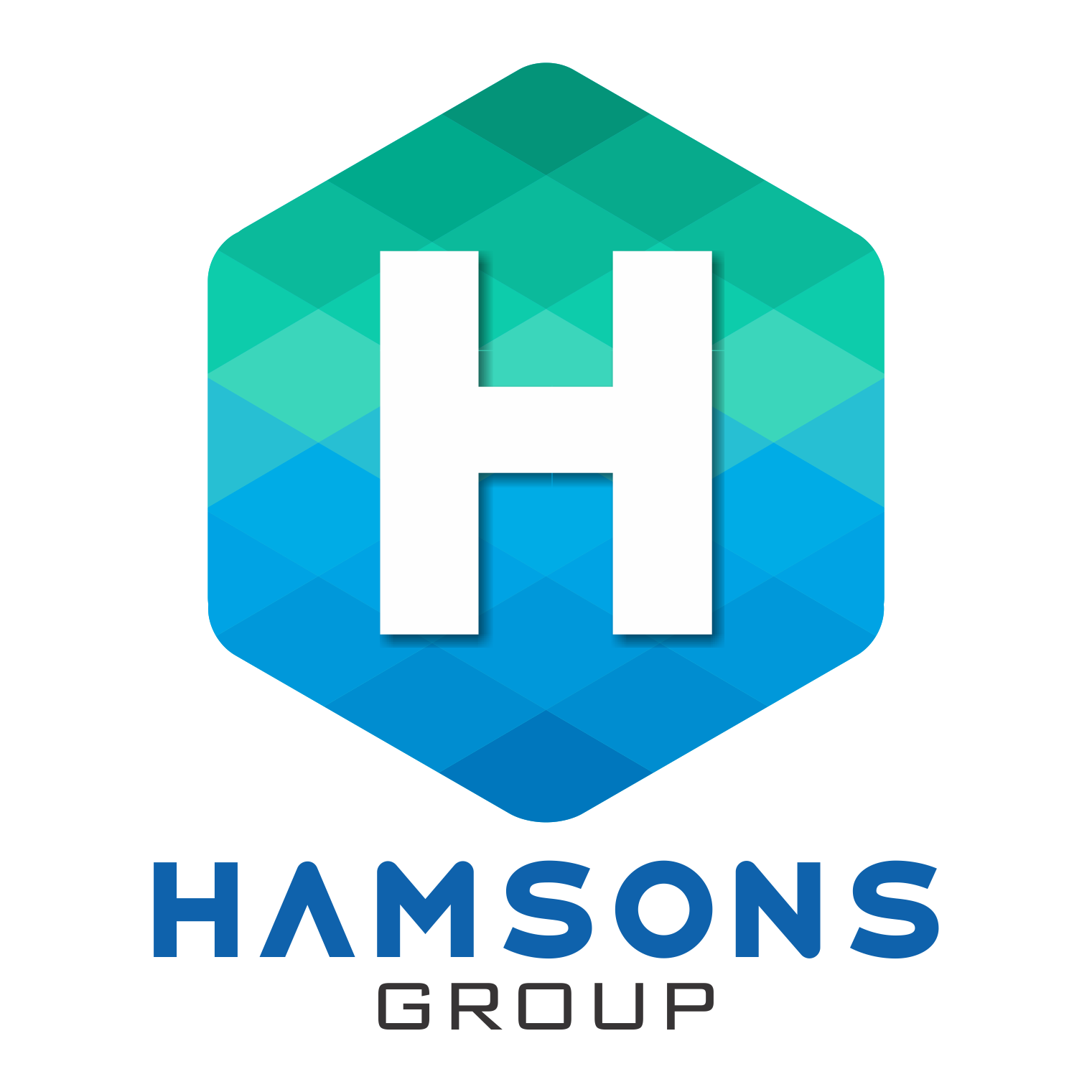 Hamsons Group